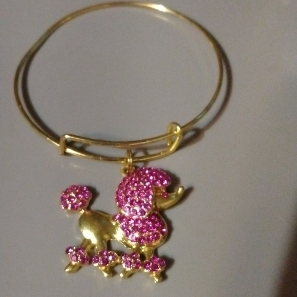 Pink poodle slide charm bracelet NWT (sku 1159) - Picture 2 of 4